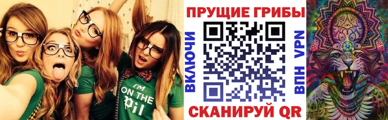 ОМГ ОМГ сайт Буйнакск Галлюциногенные грибы GOLDEN TEACHER