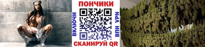 Каннабис Bruce Banner  Буйнакск 